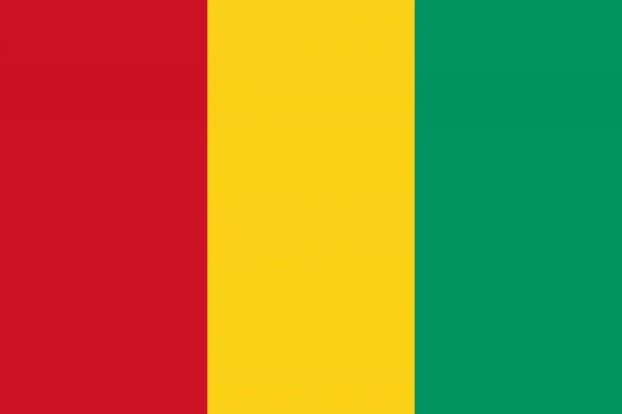 기니 국기
