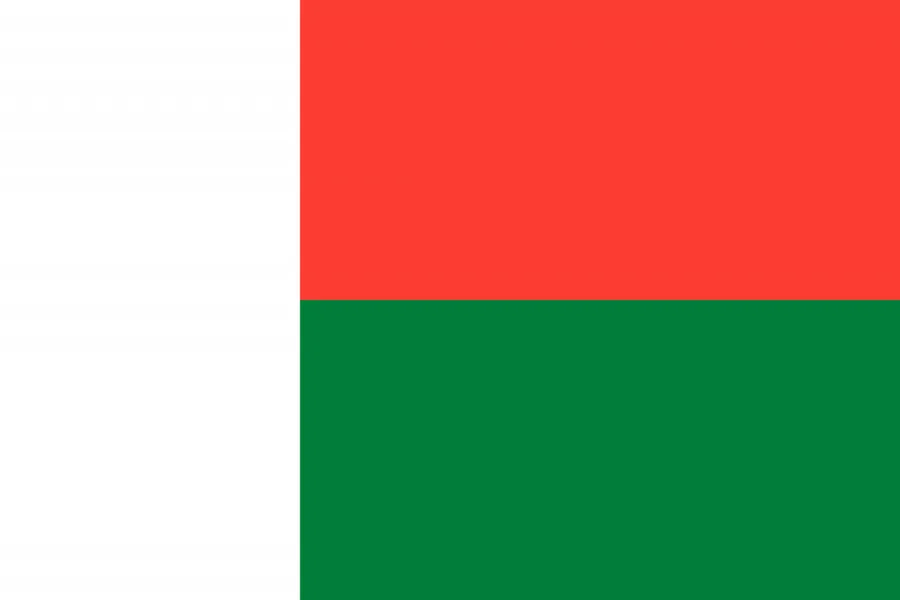 마다가스카르 국기
