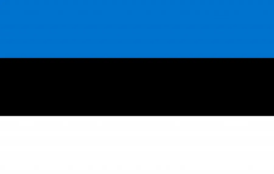 에스토니아 국기
