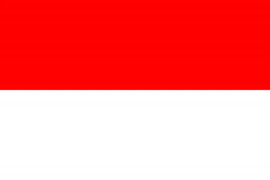 인도네시아 국기
