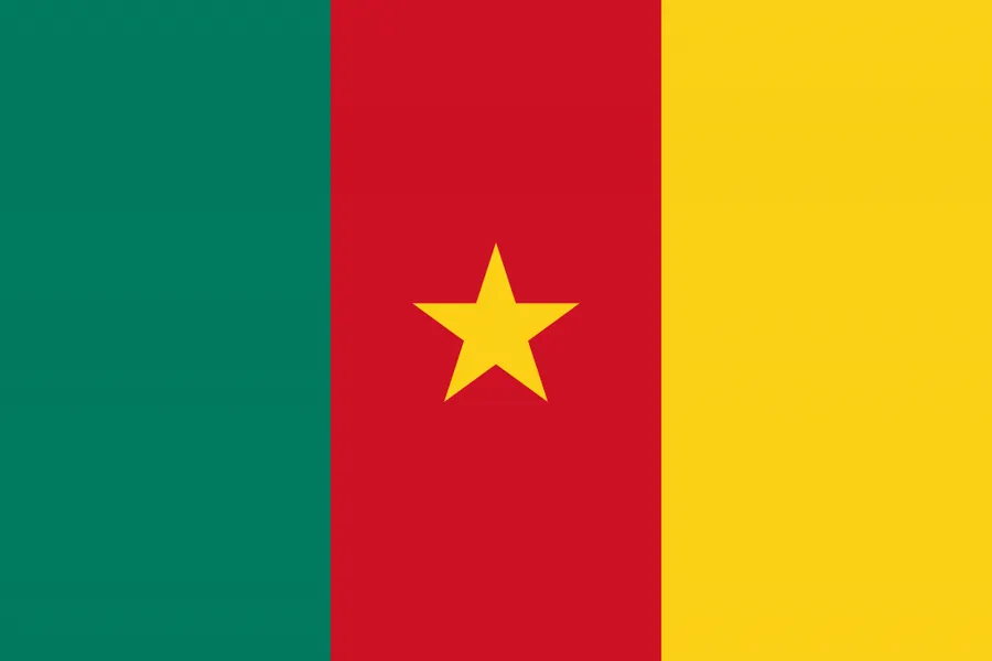 카메룬 국기
