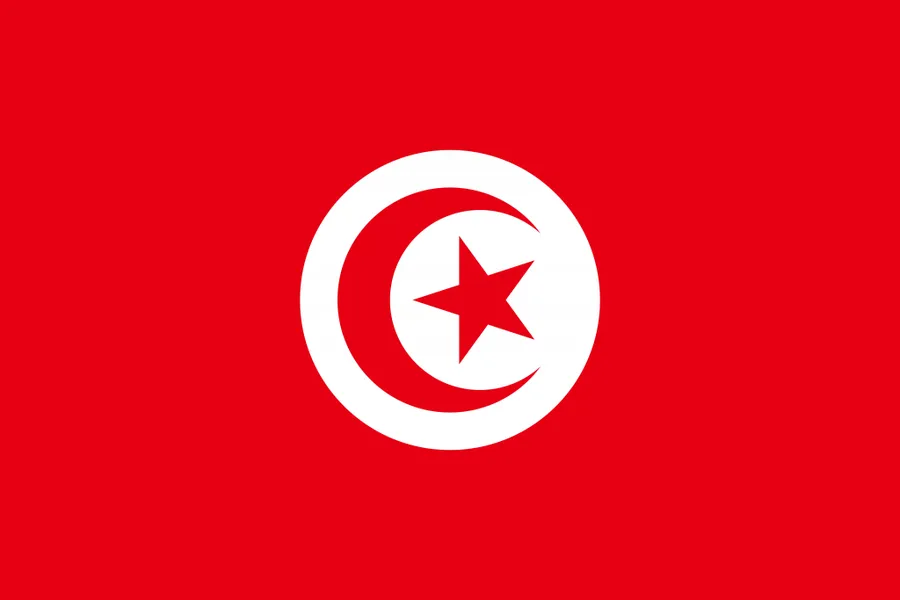 튀니지 국기
