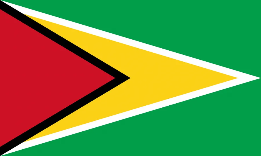 가이아나 국기

