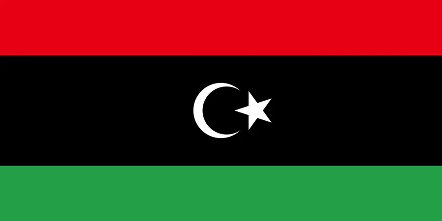 리비아 국기
