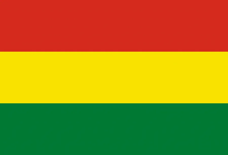 볼리비아 국기
