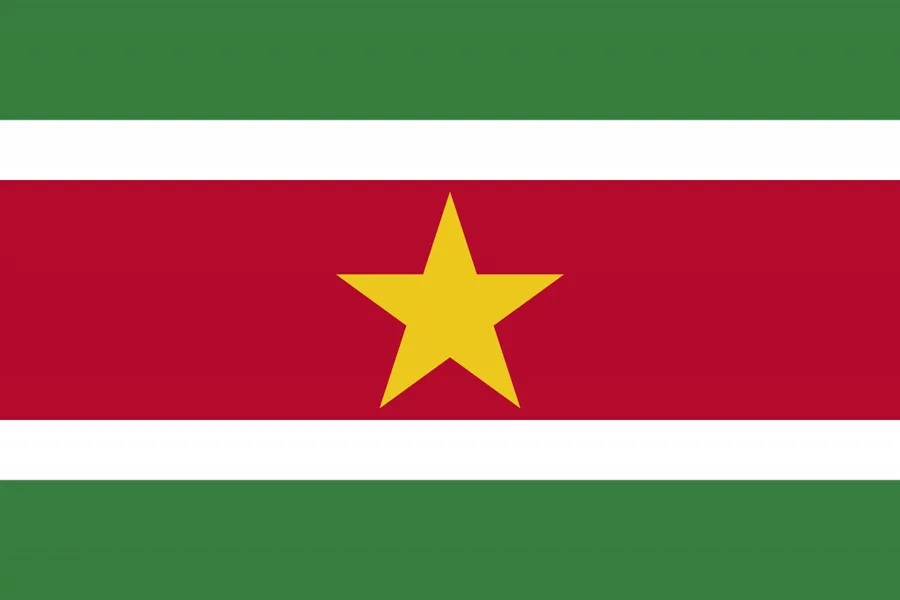 수리남 국기
