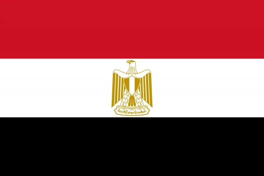이집트 국기
