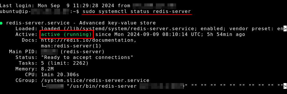 redis-server