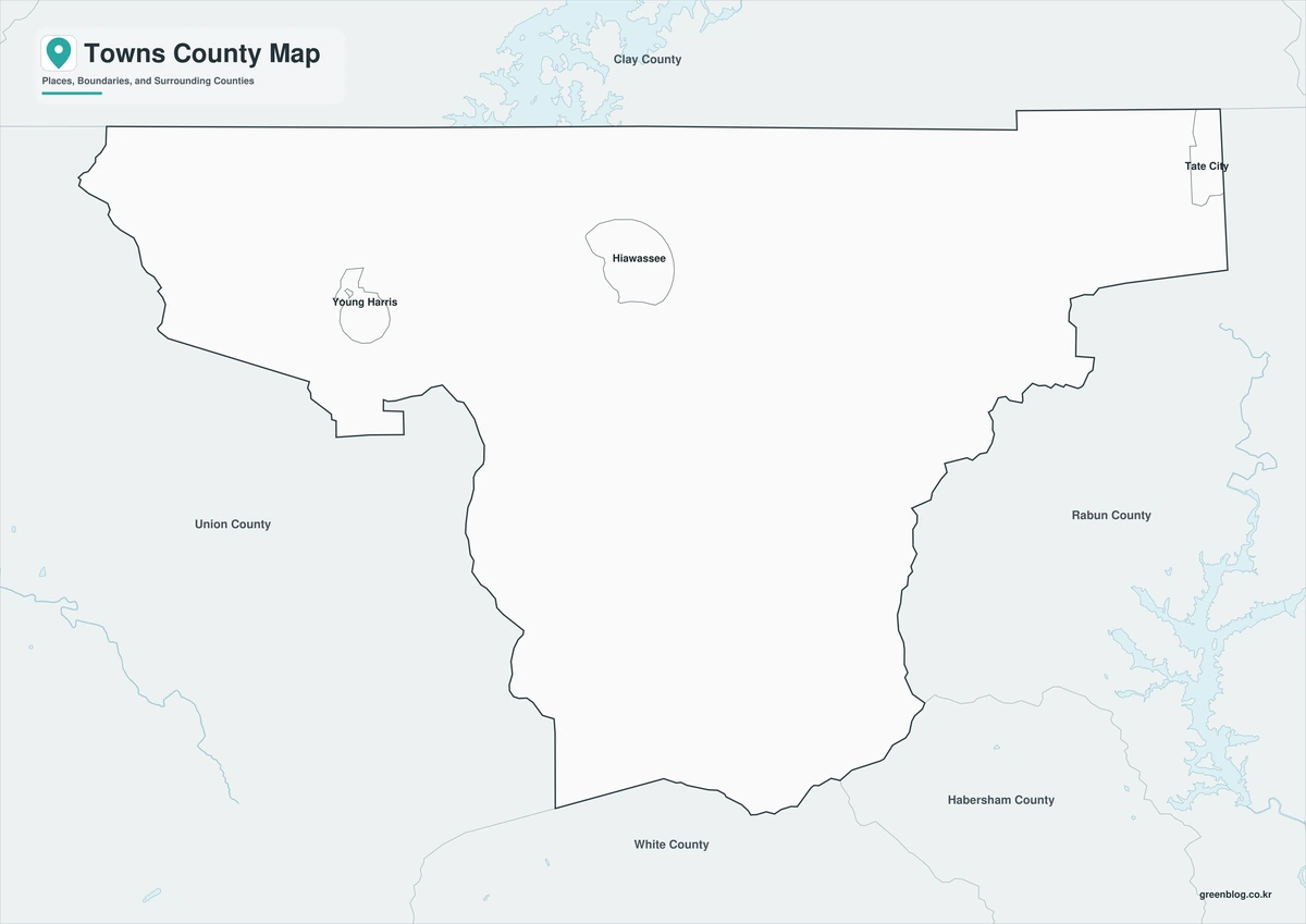 Black and white Towns County map with labels