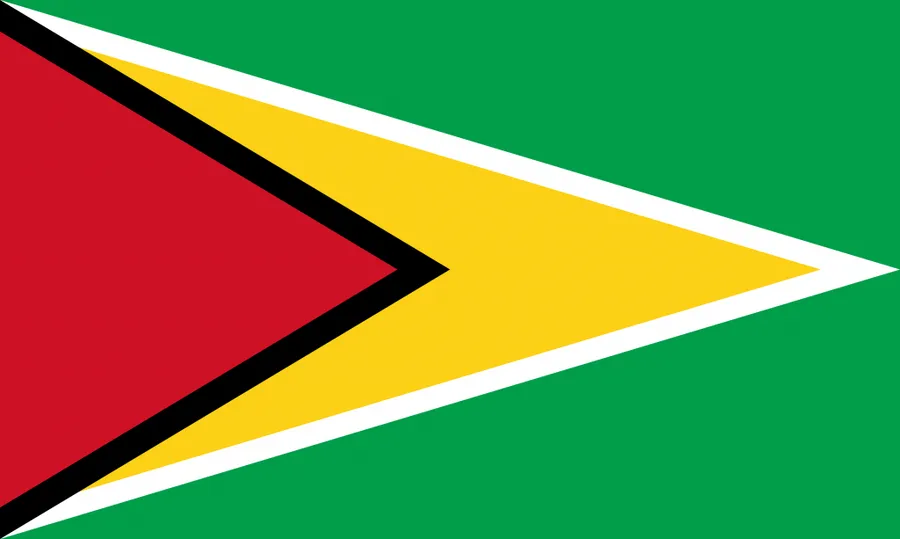 Guyana national flag for use with country maps and educational reference materials.