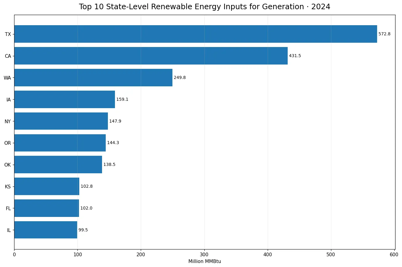 Top 10 state-level renewable energy inputs for electricity generation in 2024